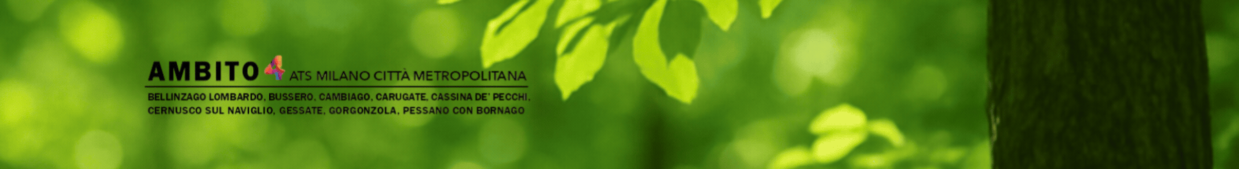 Banner Home