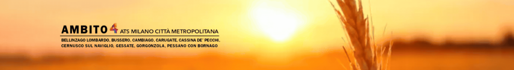Banner Home